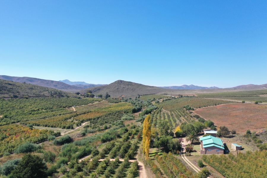 0 Bedroom Property for Sale in Haarlem Western Cape